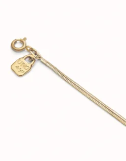Cadena corta con forma plana bañada en oro 18k