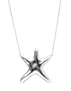 Collar largo bañado en plata con estrella de mar