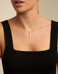 Silver Needle